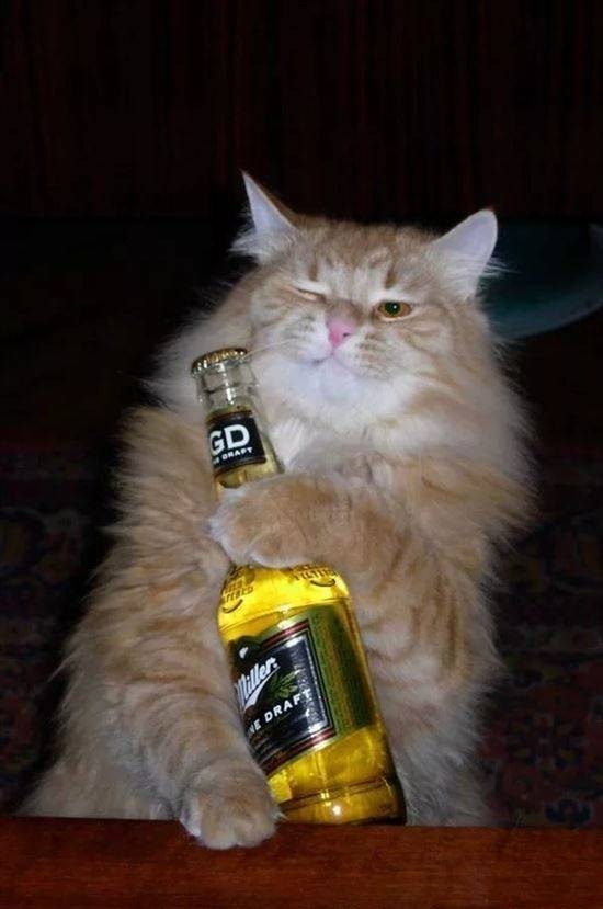 А у нас пополнение