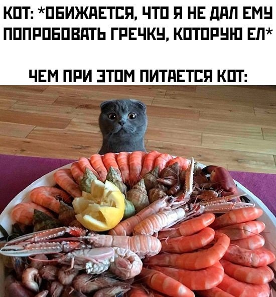 Всего понемногу. Новый выпуск.