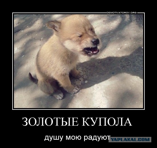 золотые купола душу