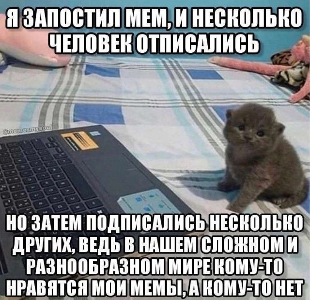 Картинки и мемы, всяко разно - 175