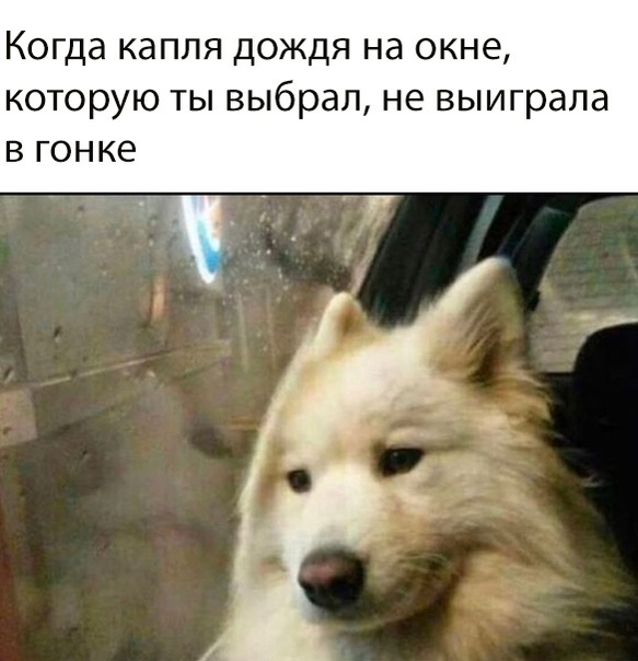 Картинки и мемы, всяко разно - 179