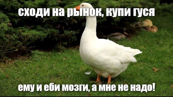 Атеистический пост