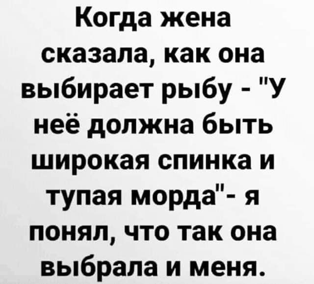 Забавные комментарии из социальных сетей (20.11.23)