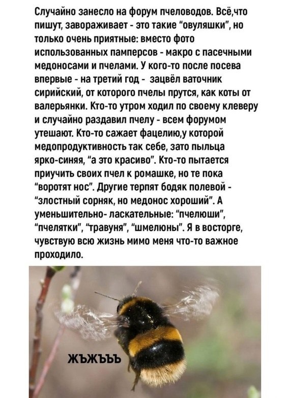 Тлидцать тли от 12 маЛта
