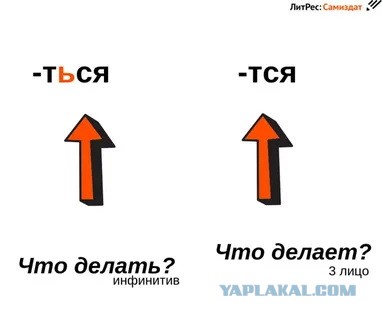 Михаил Ефремов выйдет на свободу по УДО в декабре — к Новому году. Всё из-за состояния здоровья и риска инсульта