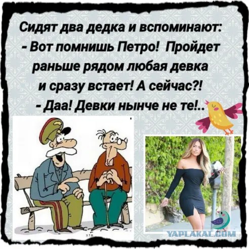 Новогоднее желание