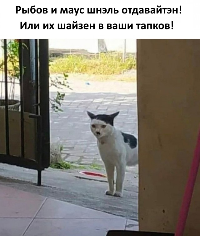 Так себе картинки 06.02.25