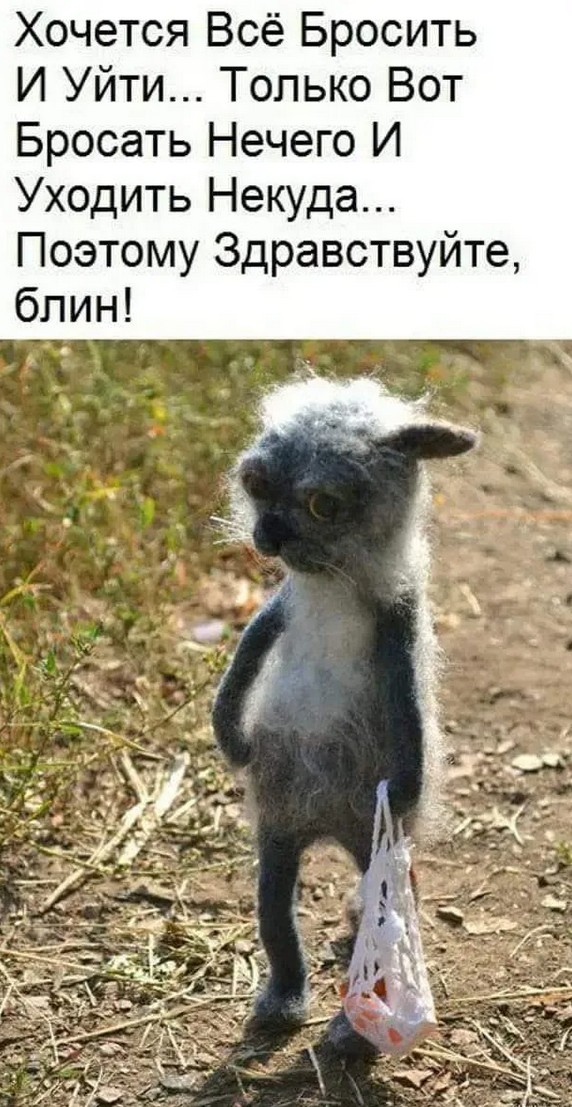 Завалялось тут случайно немного забавных картинок