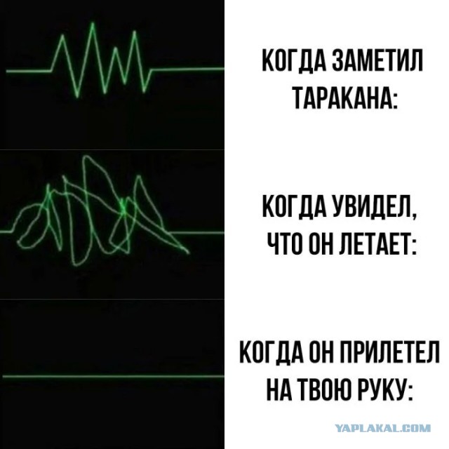 Юмор для тех, кто уже повзрослел и понял, что выходные — это миф