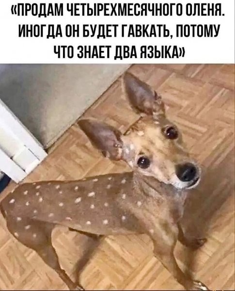 Для настроения