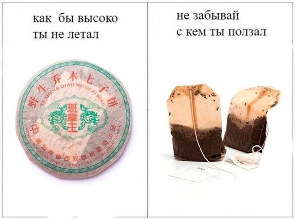 А где Цой?