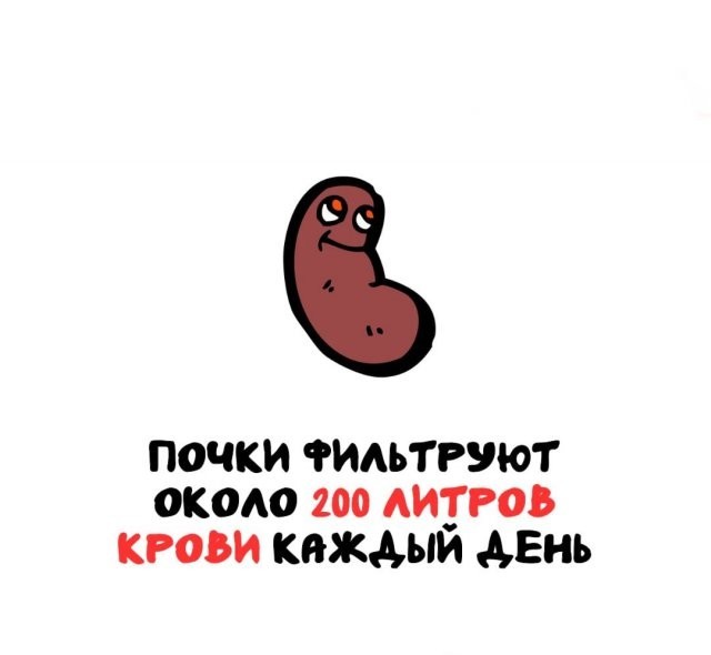 Подборка интересных фактов на все случаи жизни 26.11.25