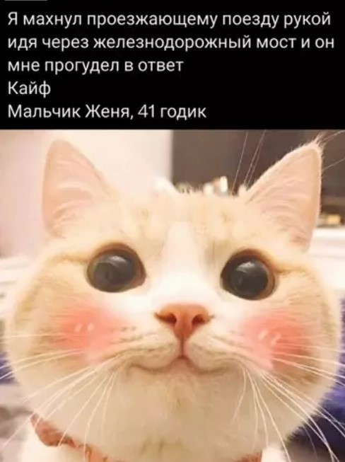 Картиночки, баянчики 07 апреля