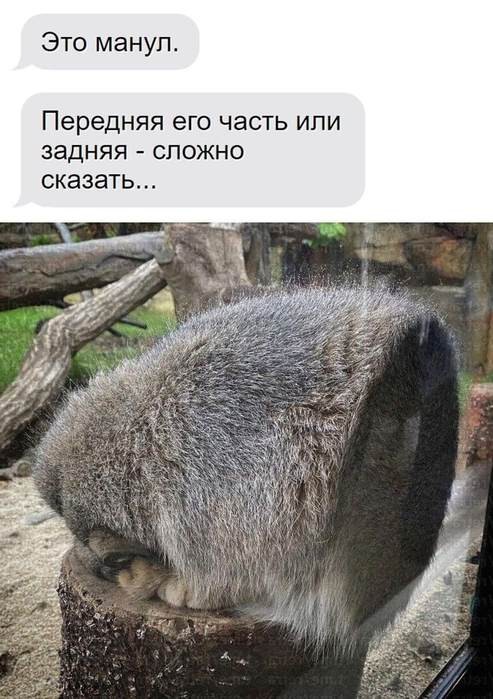 Картинки для деградации 201 (разной степени свежести)