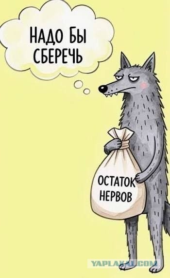 Как победить волка, если вдруг вы встретились с ним в лесу. Инструкция