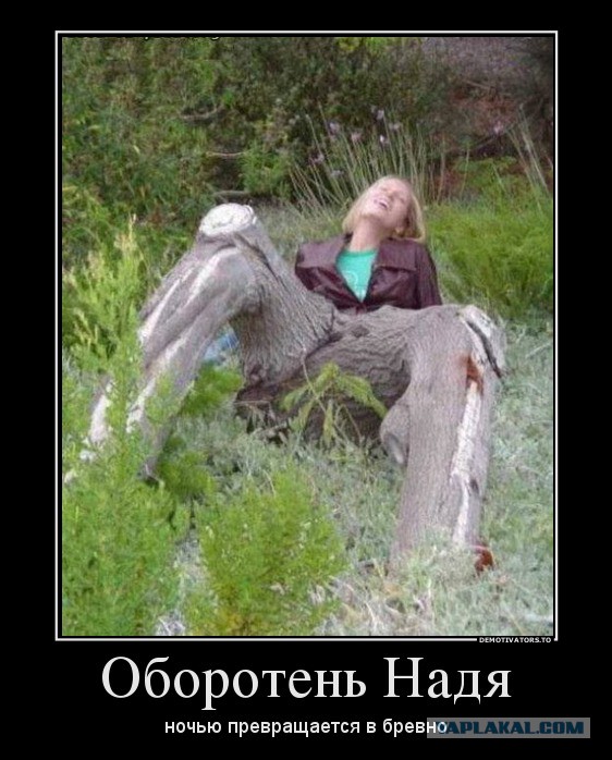 Демотиваторы.