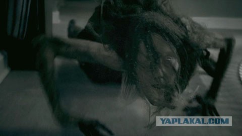 Нашел их на помойке...