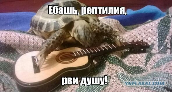 Смешные комментарии на 16.04.2014