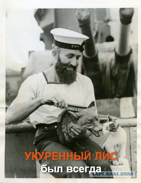 Странные фото.