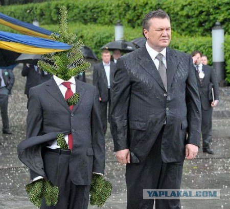 неудачный ракурс?