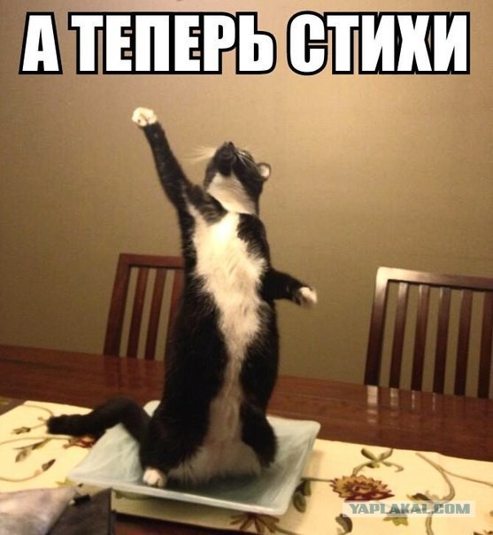 Смешные комментарии из социальных сетей 15.11.14