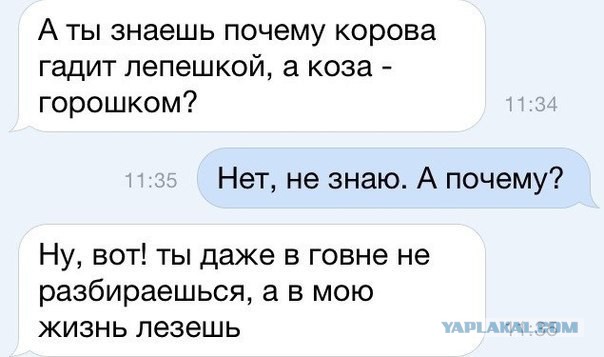 Смешные комментарии из социальных сетей