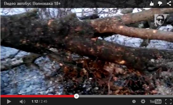 Перемирие кончилось, едва начавшись.