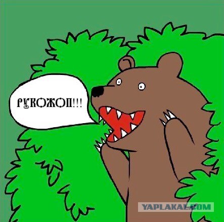 Сколково в действии!