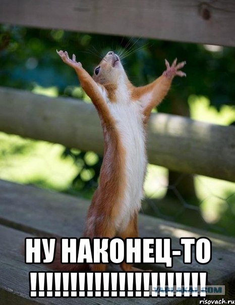 ЯП заработал!