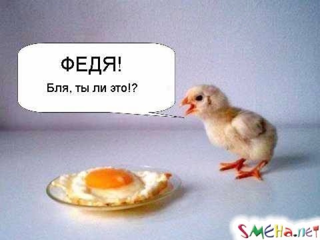 Зажарь курицу по-мужски