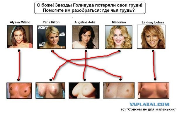 Помогите звездам найти свою грудь