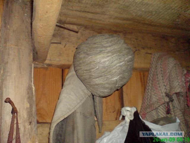 Массовое убийство и геноцид