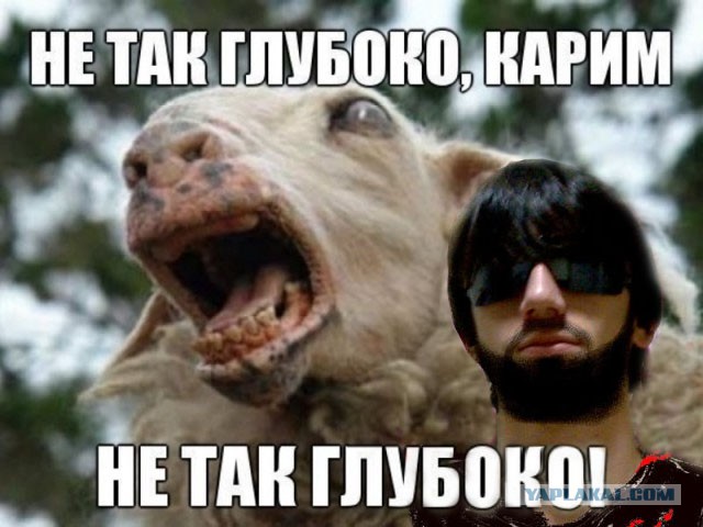 Мастера фотошопа