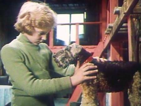 7 самых популярных пород собак в СССР