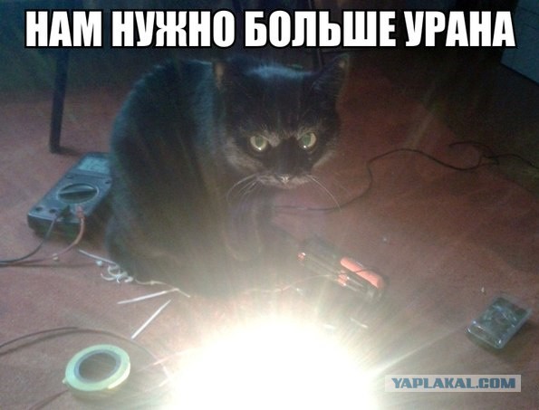 Известные котомемы.