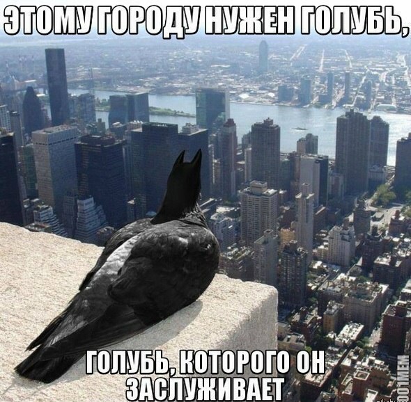 Забавные картинки из Сети