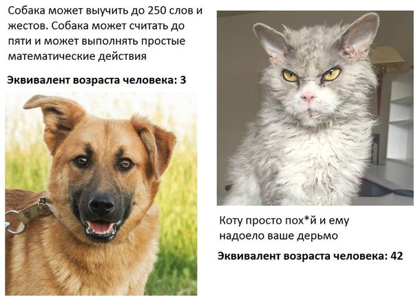 Веселые картинки.