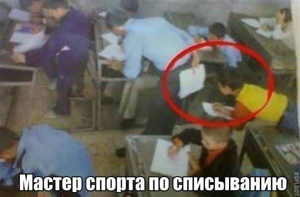 Пучок смешных картинок