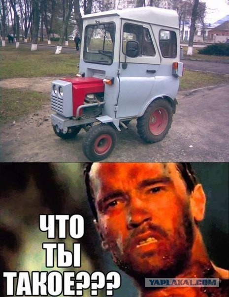 Весёлые картинки