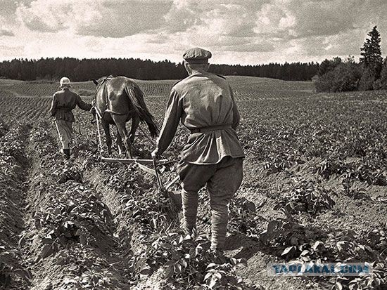 Фотографии с войны