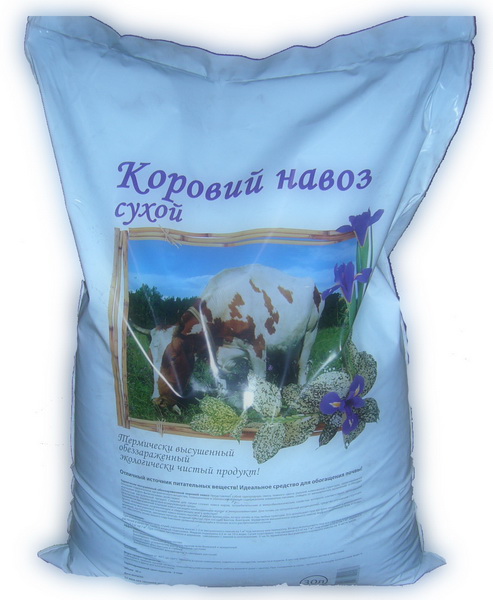 Хорошо в деревне летом
