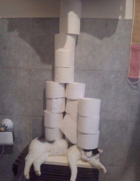 Мохнатые беспредельщики