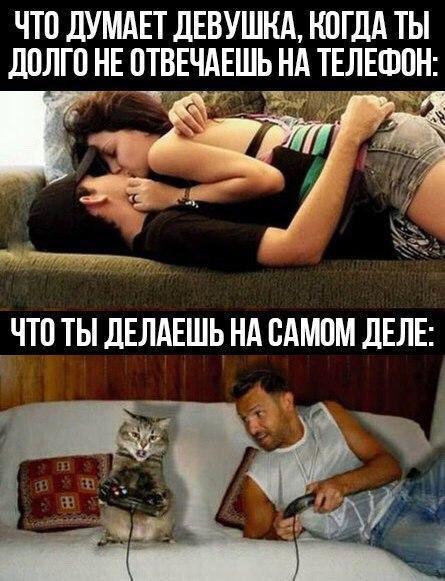 Небольшой микс картинок и гифок