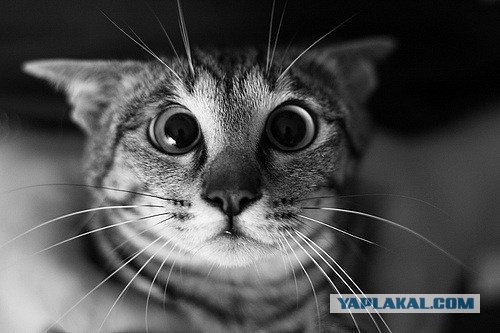 Удобненько