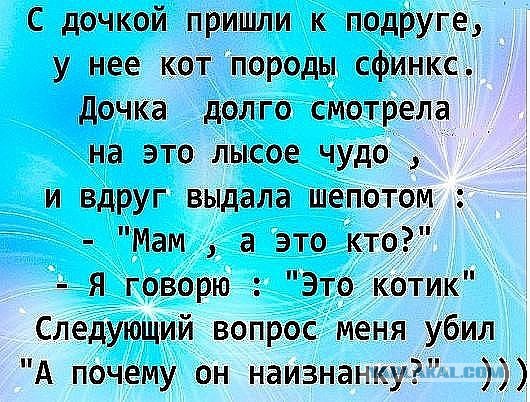 Картинки и приколы из сети, для поднятия настроения=)