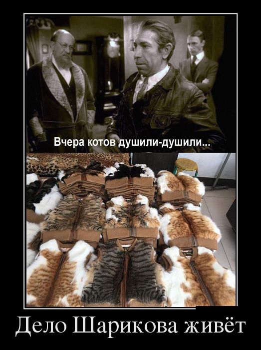 Соцсети - и смех и грех