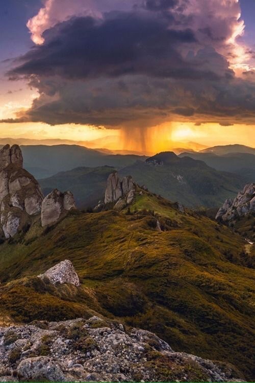 Моменты, запечатлённые на фото и просто позитив 5