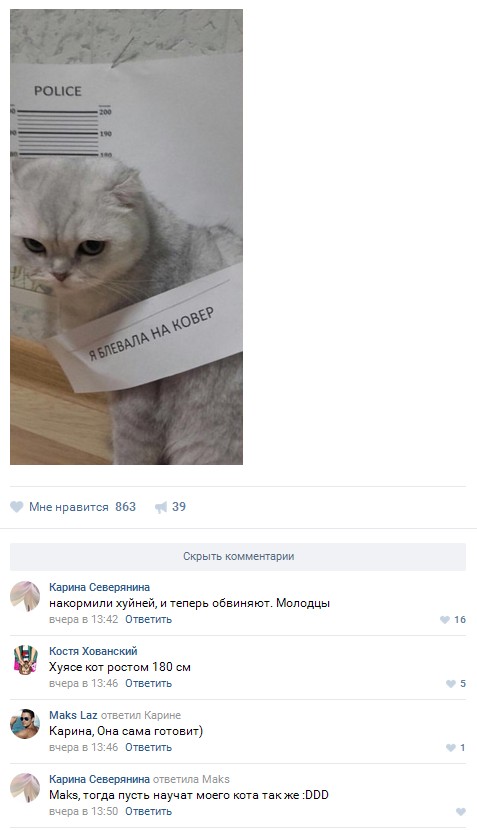 Ужасы и приколы из соцсетей 18+