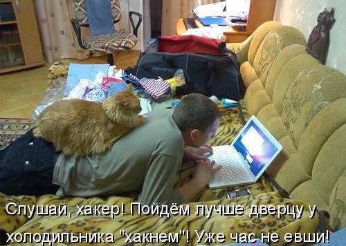 Подборка безудержного веселья
