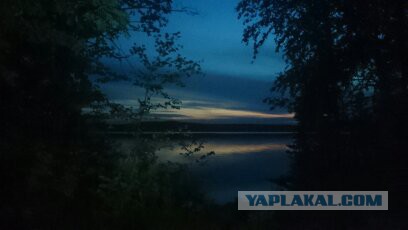 Беседка ФиС ЯПа